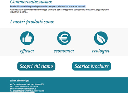Progettazione e sviluppo sito web Seican